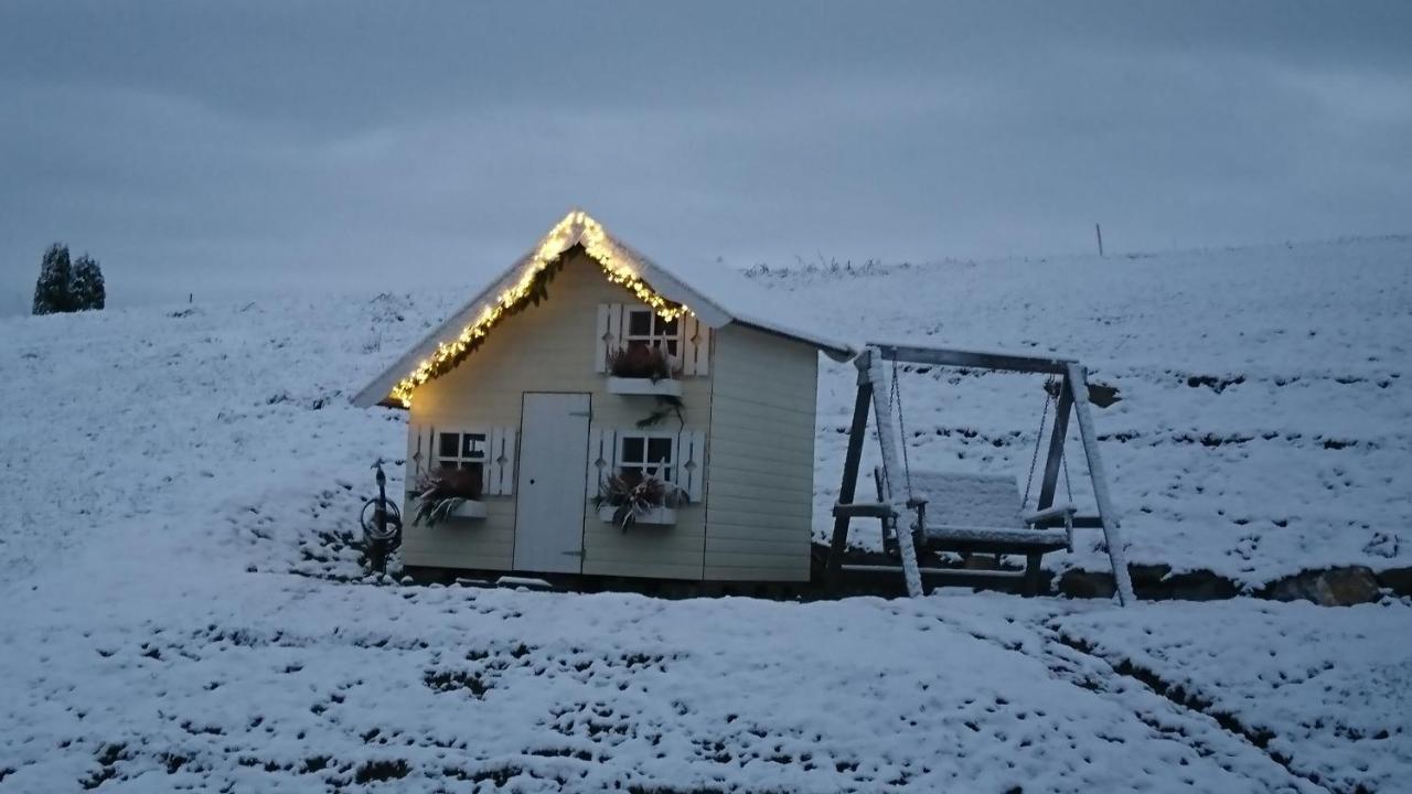 Appartement Kuhnest à Scheidegg Extérieur photo